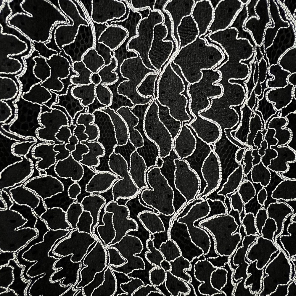 SABA Romee Lace Dress - Picture 9 of 13